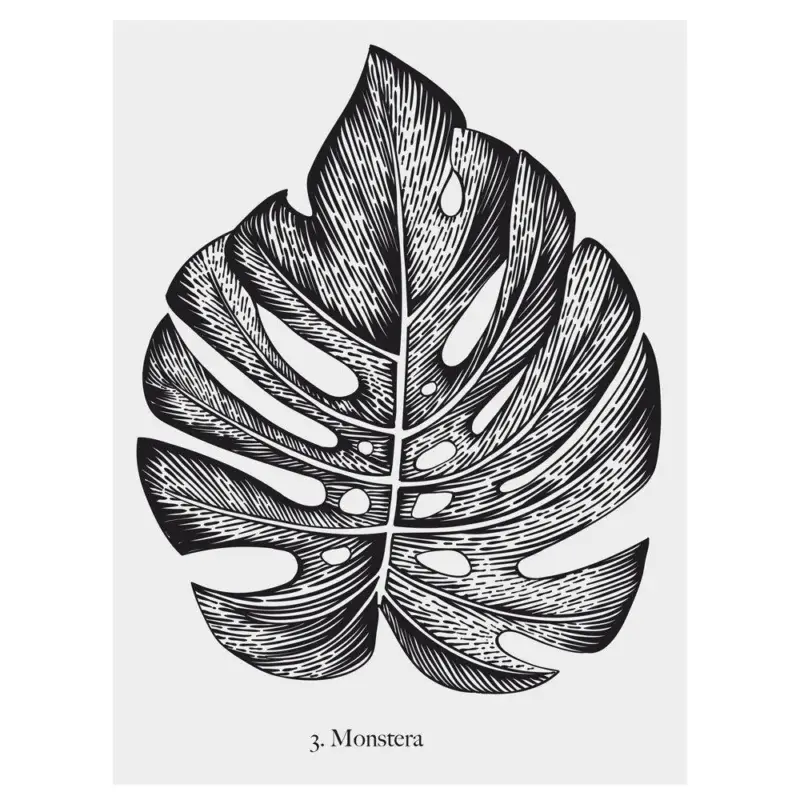 Naklejka na ścianę ze wzorem roślinnym, 30 x 40 cm Wysoka jakość