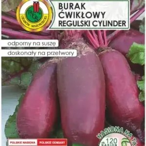 Burak ćwikłowy Regulski Cylinder 6m taśmy z nawozem Platnacote Najlepsza cena