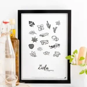 Darmowa dostawa Plakat "Zioła i przyprawy"