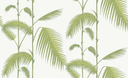 Tapeta Cole and Son Palm Leaves Green/White Rabat