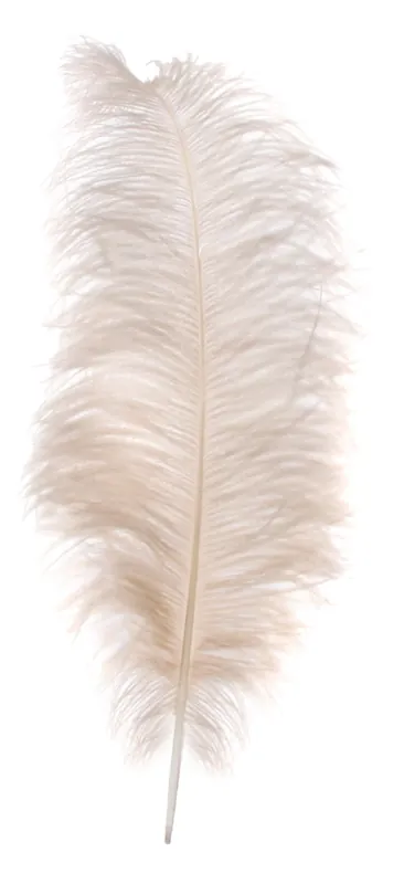 Ograniczona ilość DEKORACJA ŚWIĄTECZNA STRUSIE PIÓRO - 60/65cm - SHISHI – MY HONEY HOME