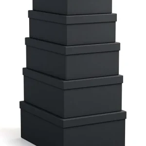 Bigso Box of Sweden zestaw pudełek do przechowywania Joel 5-pack Nie przegap