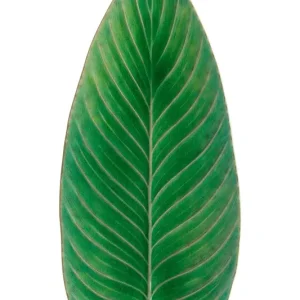 Premium Costa Nova talerz do serwowania Riviera Strelizia 40 cmkolor zielony