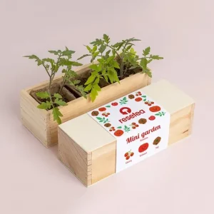 Nowy RESETEA zestaw do uprawy roślin Mini garden Tomatoes 21 x 7,8 x 6,5 cmkolor multicolor Erst429