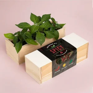 Wyjątkowa oferta RESETEA zestaw do uprawy roślin Spicy Growing Kit 21 x 7,8 x 6,5 cmkolor multicolor