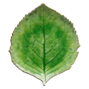 Costa Nova zestaw talerzy Riviera Hydrangea 22 cm 6-pack Zamów teraz